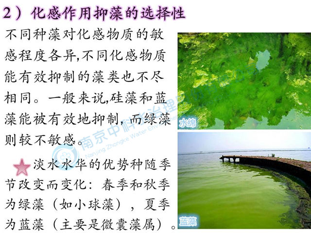 文曲化科的意义和作用-上海怡健医学(组图)