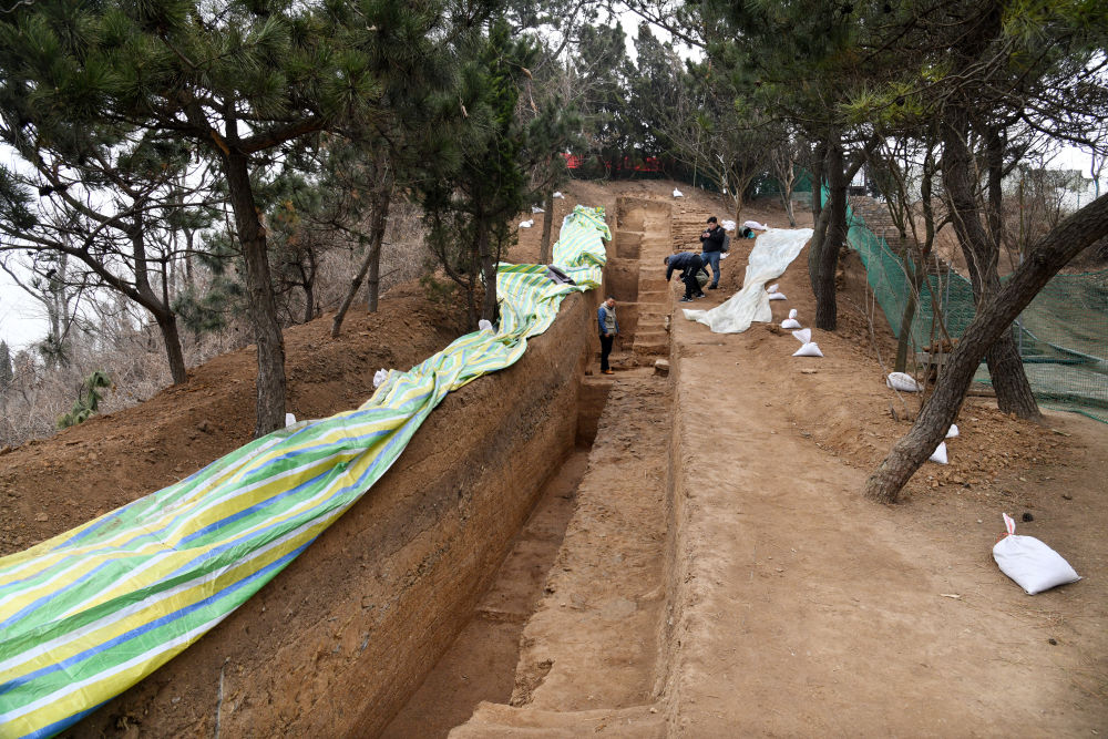 紫薇得在迁移宫 江苏张家港黄泗浦遗址保护制订规划将建成遗址考古公园